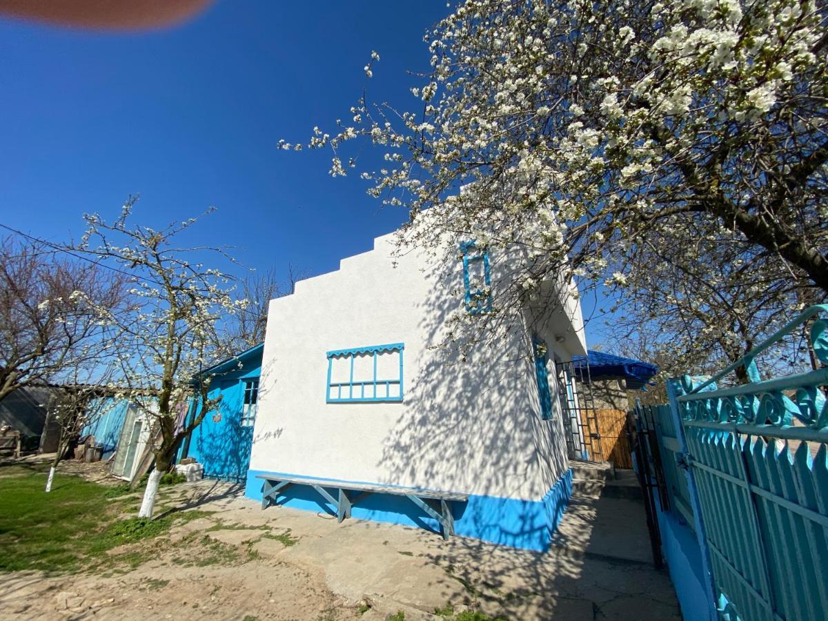 Casa Bunicilor Granny's House Villa Jurilovca Exterior foto