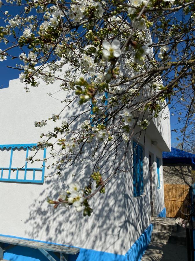 Casa Bunicilor Granny's House Villa Jurilovca Exterior foto