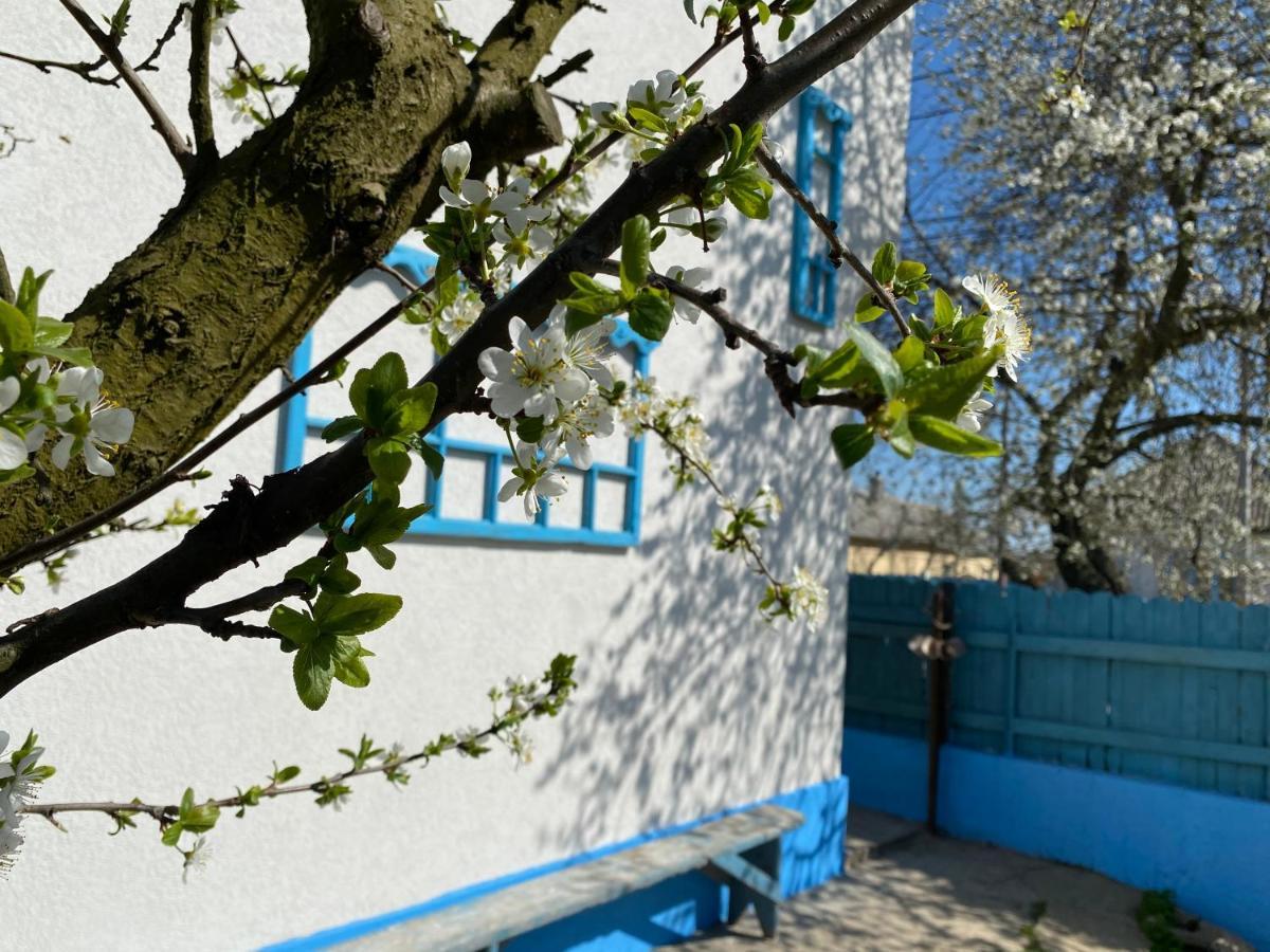Casa Bunicilor Granny's House Villa Jurilovca Exterior foto