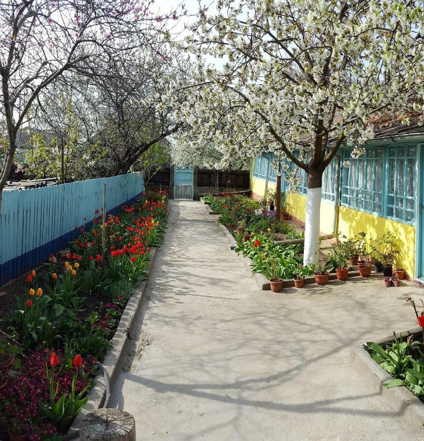 Casa Bunicilor Granny's House Villa Jurilovca Exterior foto