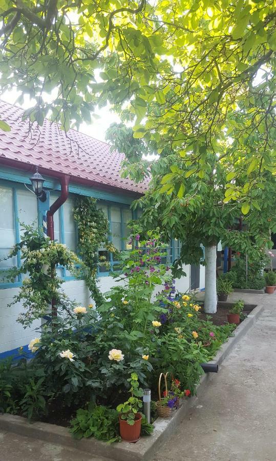 Casa Bunicilor Granny's House Villa Jurilovca Exterior foto